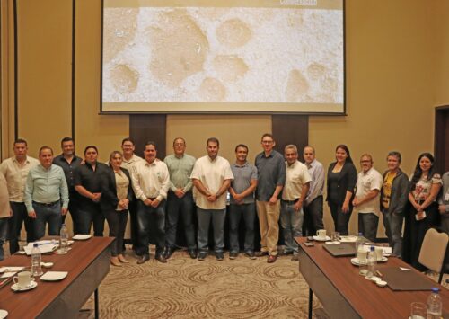 CAO participa en la actualización del Plan de Acción para la Conservación del Jaguar 2026–2031