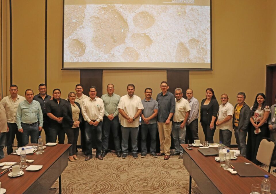CAO participa en la actualización del Plan de Acción para la Conservación del Jaguar 2026–2031